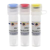 QuickMutation™基因随机突变试剂盒
