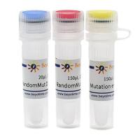 QuickMutation™基因随机突变试剂盒