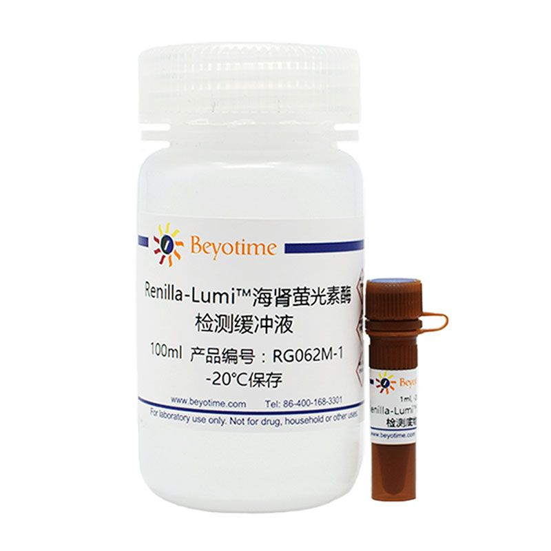Renilla-Lumi™海肾萤光素酶报告基因检测试剂盒