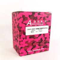 Calcein-AM/PI 活细胞/死细胞双染试剂盒  C0021  厂家直销，提供OEM定制服务，大包装更优惠 