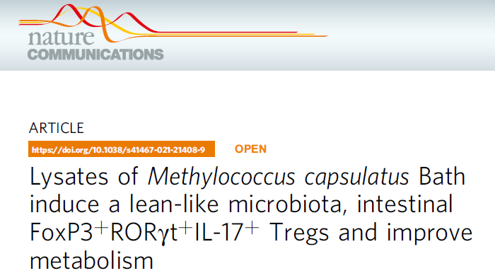 Nat Commun：“死菌”也可改善肠道菌群平衡和免疫代谢稳态