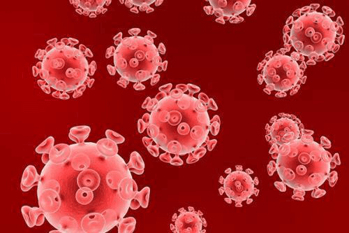 全套病毒核酸检测试剂盒原料，帮您一网打尽