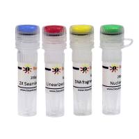 Seamless Cloning Kit (无缝克隆试剂盒)