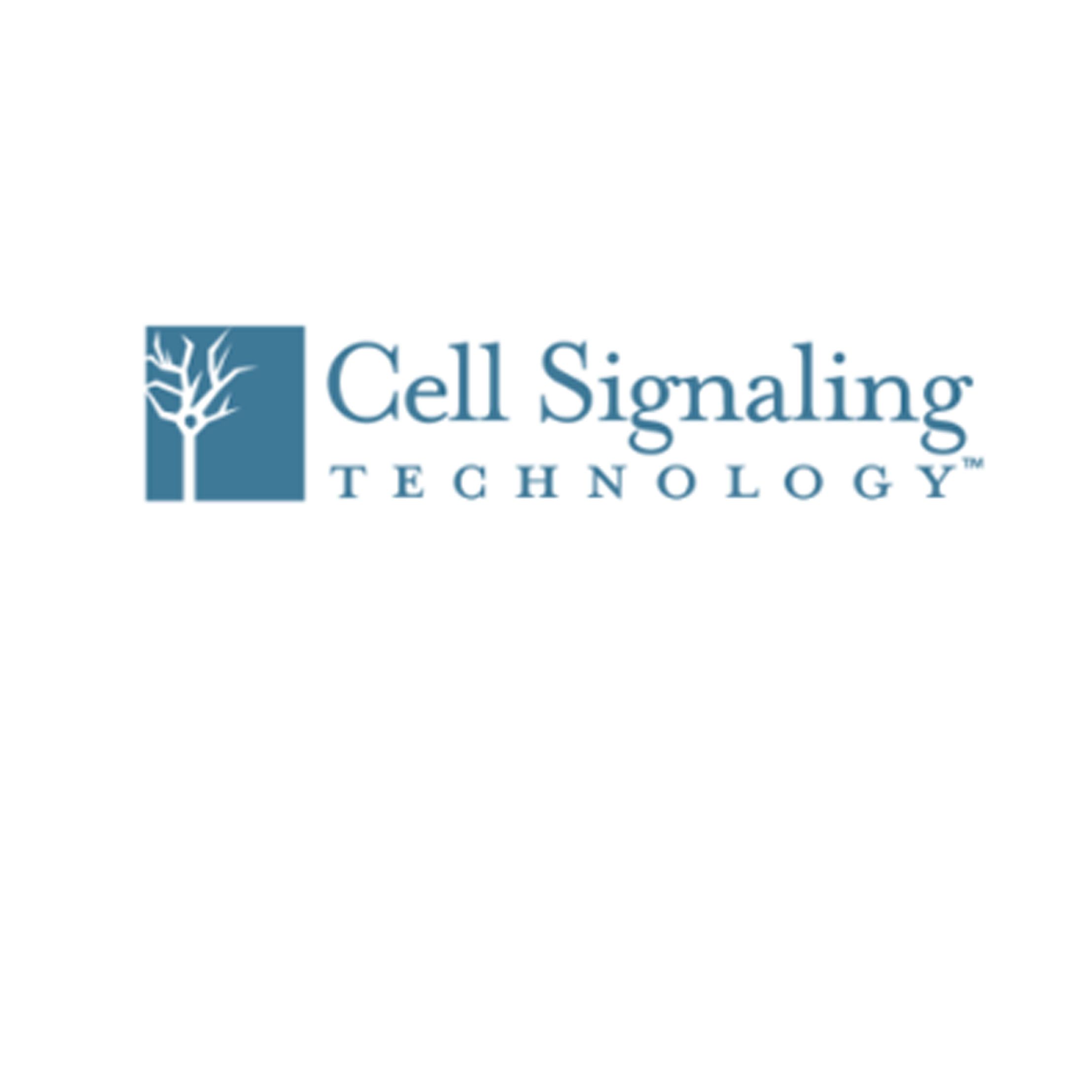 Cell Signaling抗体及磷酸化抗体、ELISA试剂盒、激酶，现货