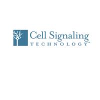 Cell Signaling抗体及磷酸化抗体、ELISA试剂盒、激酶,现货