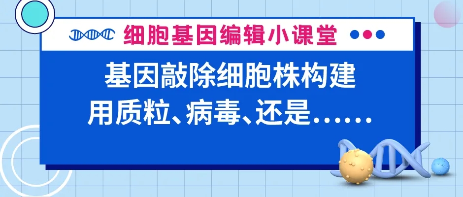 基因敲除细胞株构建，用质粒、病毒、还是……？