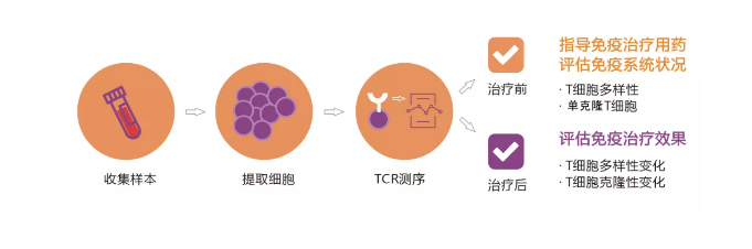 癌症免疫治疗效果监控 Immun-Traq®
