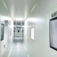 裸鼠原位肿瘤模型构建