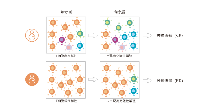 癌症免疫治疗效果监控 Immun-Traq®