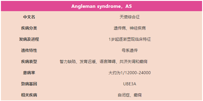 UBE3A基因敲除小鼠与天使综合征