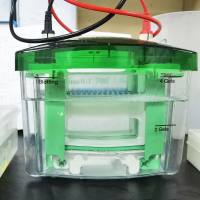 iTRAQ蛋白质组学