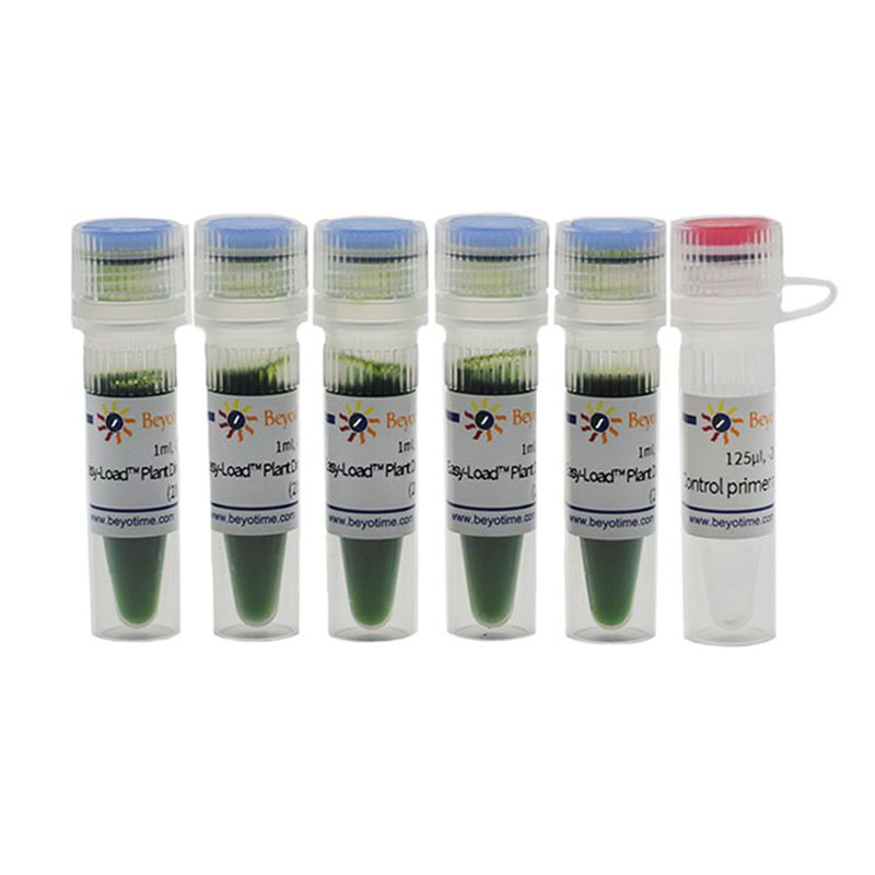 Easy-Load™ Plant Direct PCR Master Mix (2X)