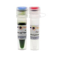 Easy-Load™ Plant Direct PCR Master Mix (2X)