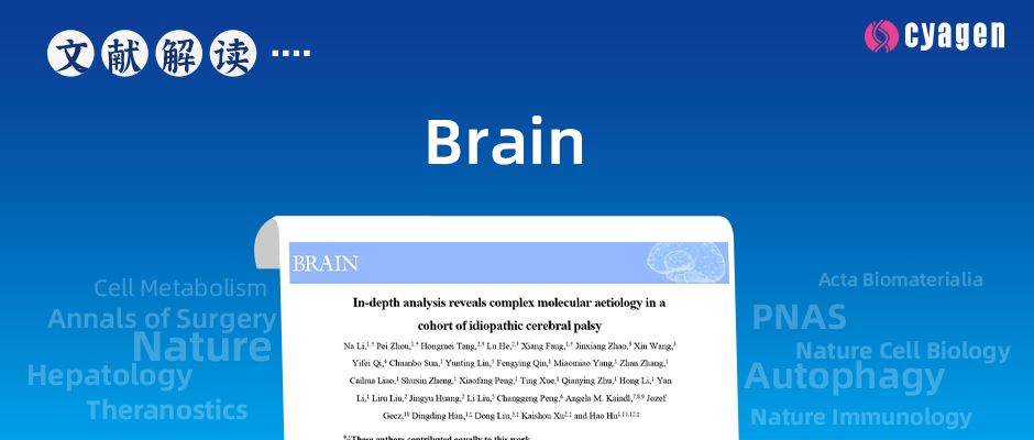 脑瘫的复杂分子病因学