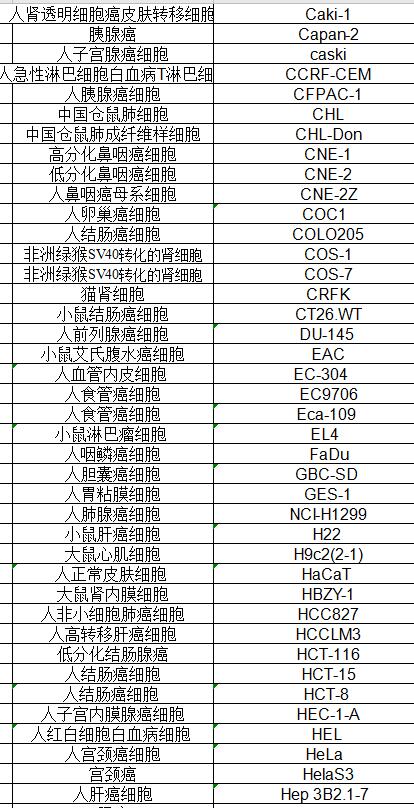 人食管癌细胞EC9706/CaEs-17 /EC9706/K