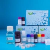 氨基酸代谢检测服务