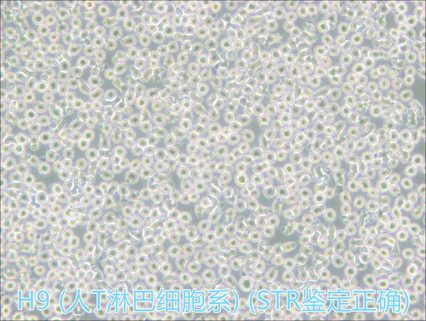 产品细节图片1