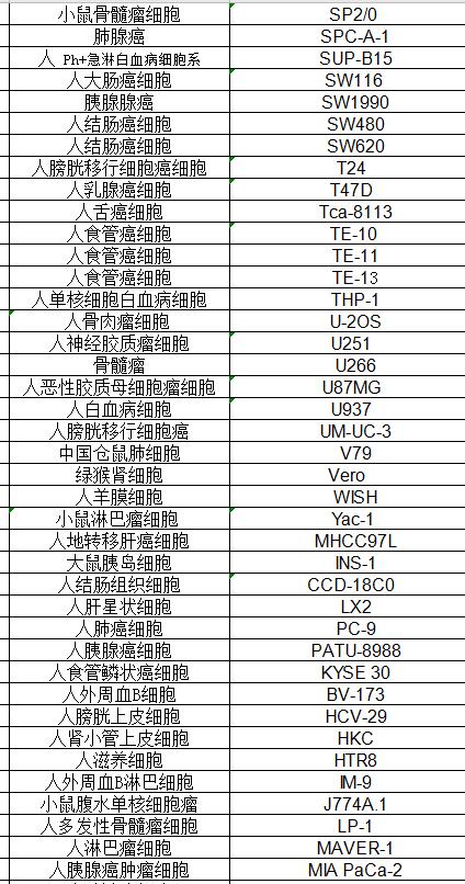 人食管癌细胞EC9706/CaEs-17 /EC9706/K
