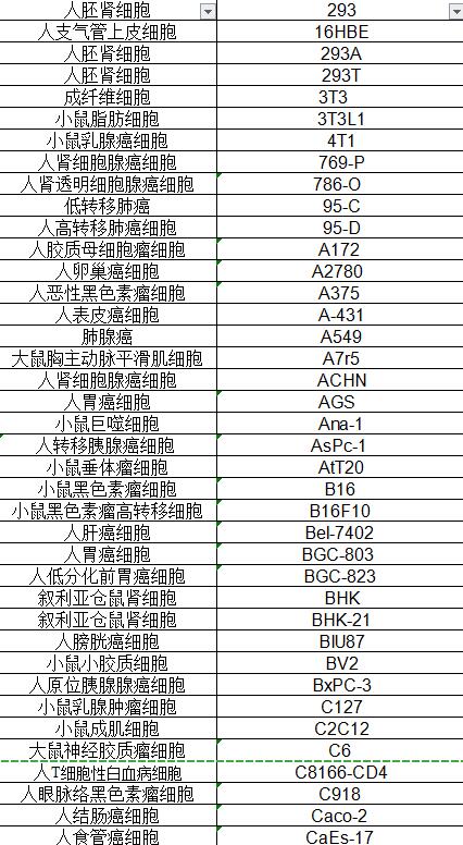 人食管癌细胞EC9706/CaEs-17 /EC9706/K