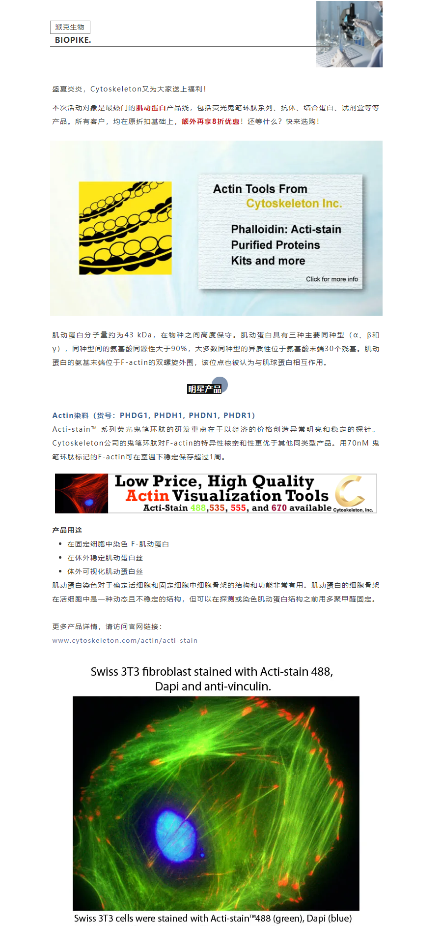 热门肌动蛋白相关产品夏季大促