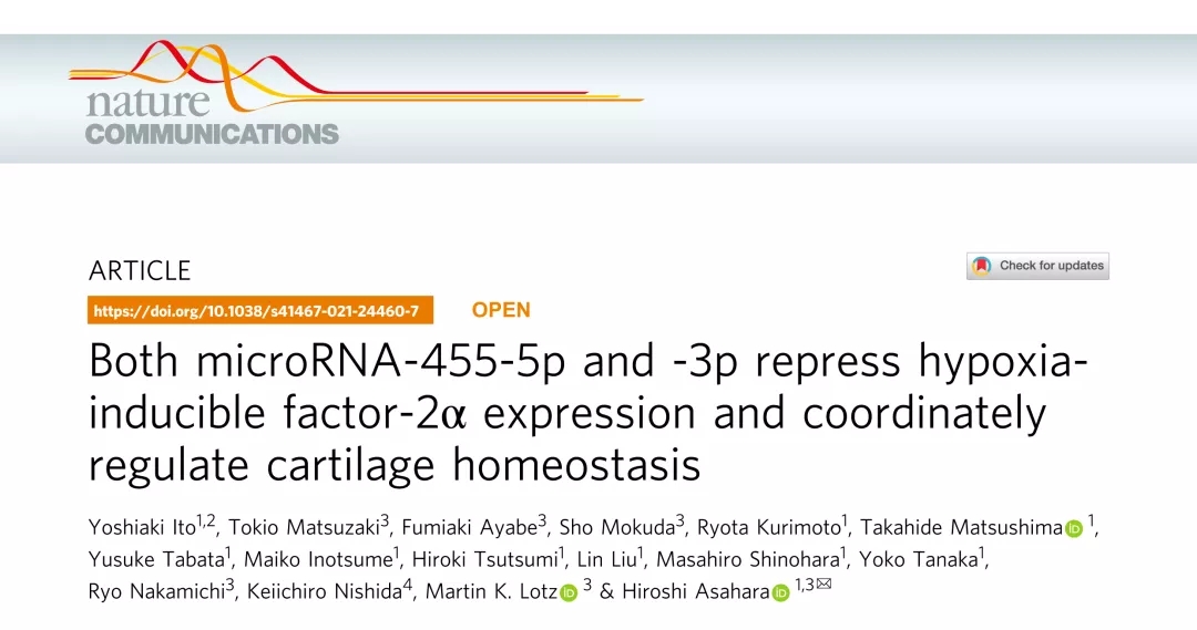 Nature子刊丨miR-455s抑制HIF-2α表达并协同调节软骨稳态