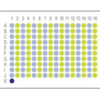 【肝癌160点】HLivH160CS01