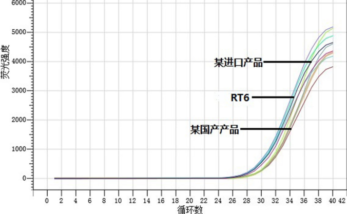 Goldenstar® RT6 cDNA Synthesis