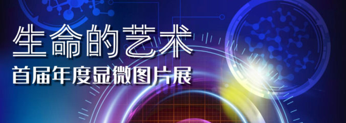 生命的艺术—首届年度显微图片展
