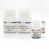 动物组织直接PCR试剂盒