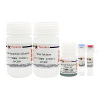 鼠尾基因型快速鉴定试剂盒