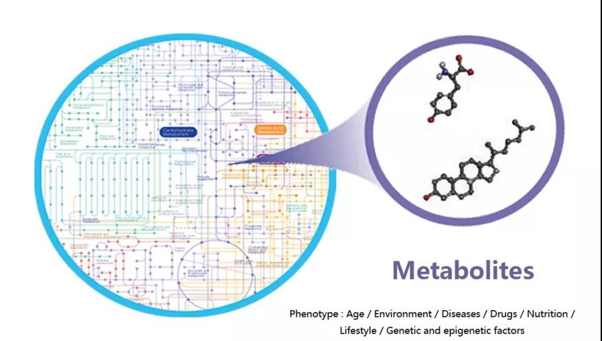 “发现代谢组学”——用体系的力量解决无限的需求