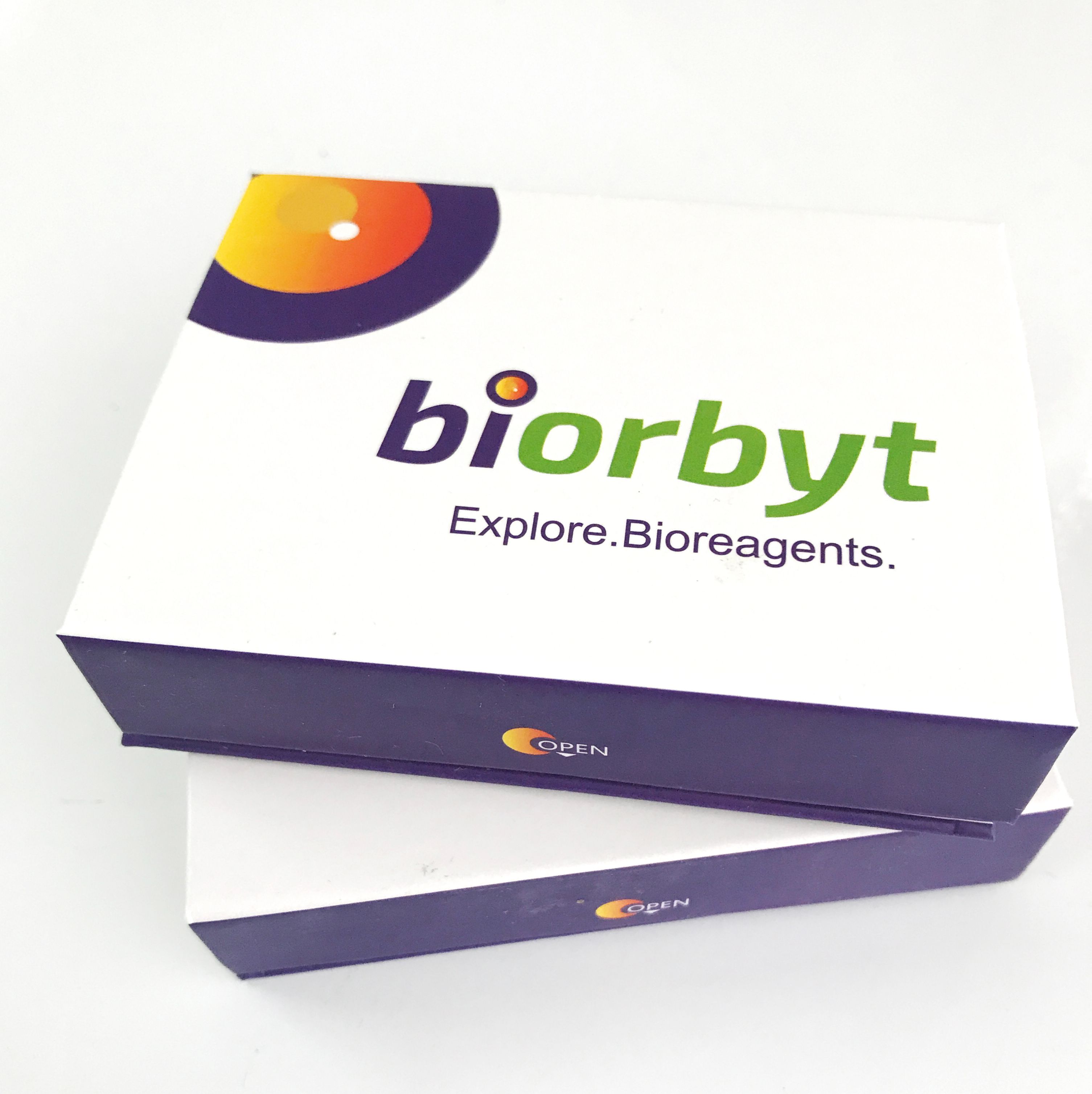 Biorbyt产品：胶原蛋白/ Collagen 系列