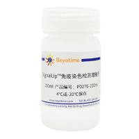 SignalUp™免疫染色检测增敏剂