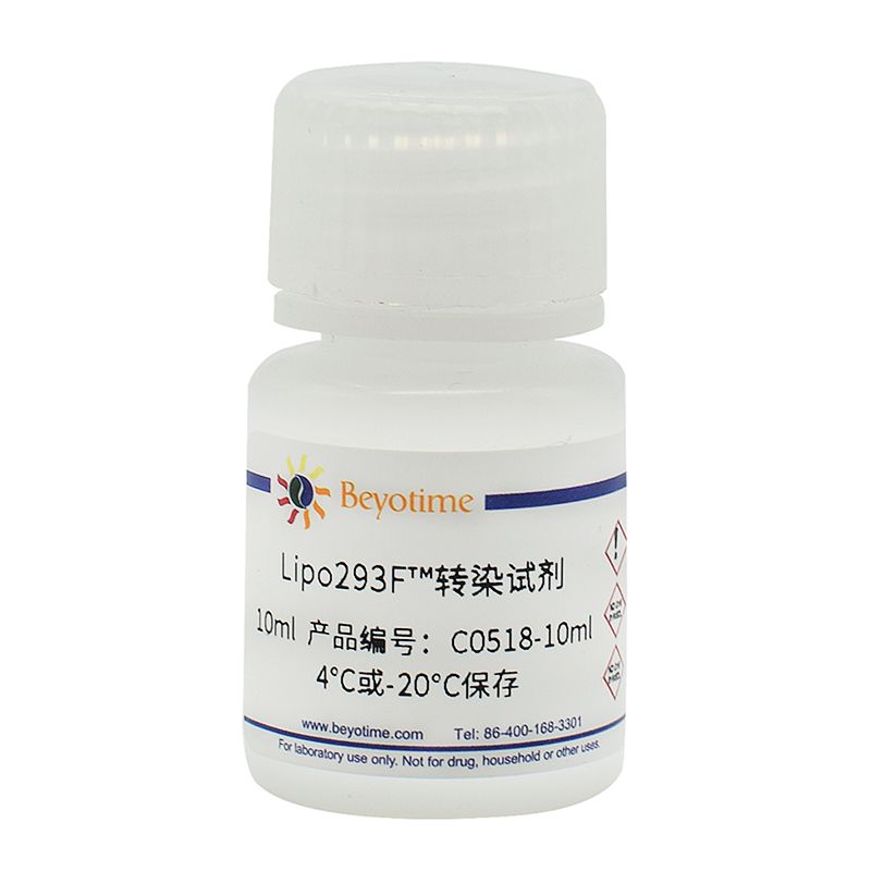 Lipo293F™转染试剂
