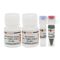 动物组织直接PCR试剂盒