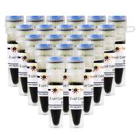 菌落直接PCR试剂盒