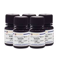 CellTiter-Lumi™发光法细胞活力检测试剂盒