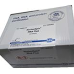 NucleoBond Xtra Midi Plus 质粒中抽试剂盒