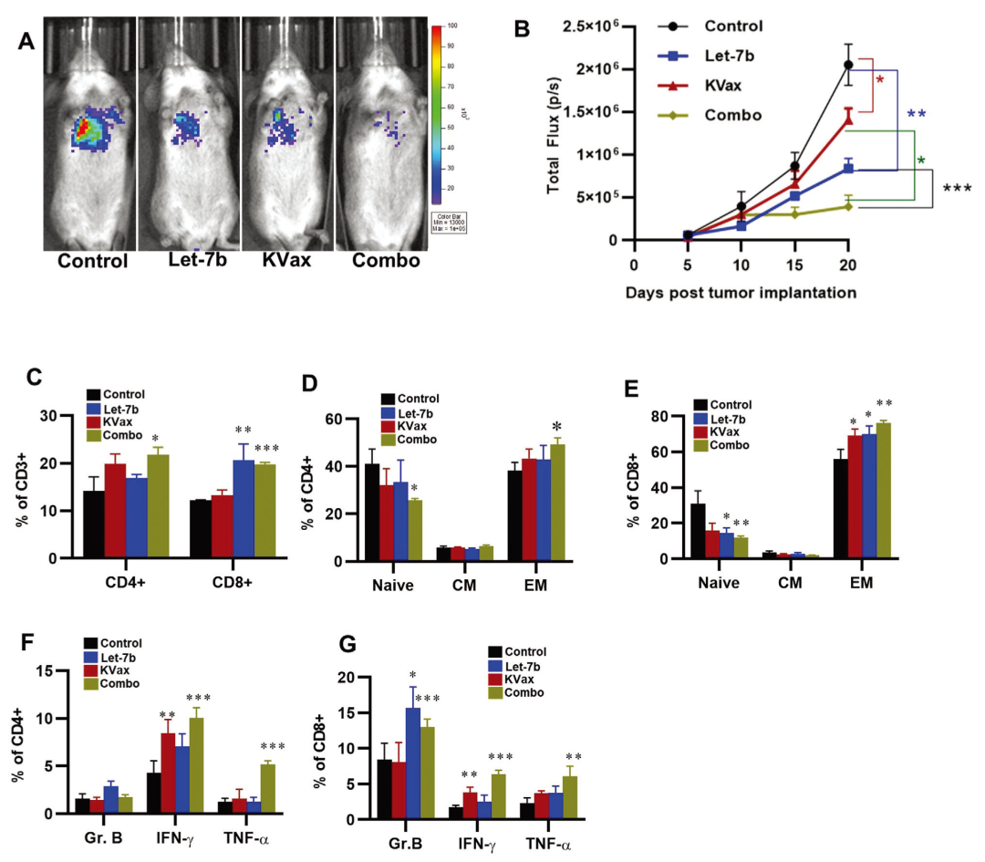 miRNA研究进展盘点（20210716）