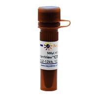 InstantView™红色荧光DNA Ladder(0.2-12kb, 12 bands, 溴酚蓝)