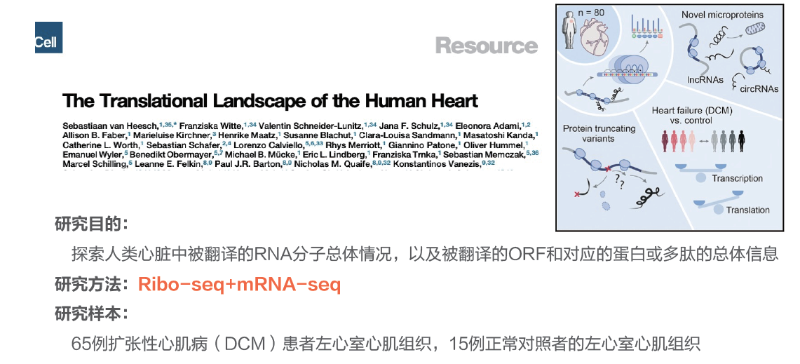 Ribo-seq（翻译组测序，包含RNA-seq）限时特价