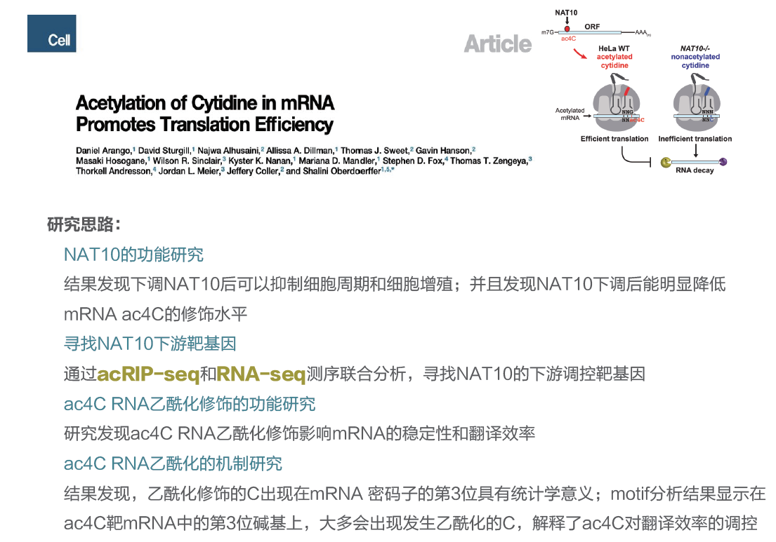 表观修饰乙酰化测序acRIP-seq（ac4C RNA）限时
