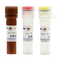 Myco-Lumi™发光法支原体检测试剂盒(低灵敏度仪器用)