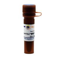 InstantView™绿色荧光DNA上样缓冲液(6X, 溴酚蓝)