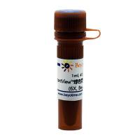 InstantView™绿色荧光DNA上样缓冲液(6X, BeyoRed)