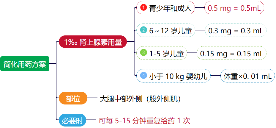 肾上腺素注射部位图片