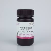 0.1%茜素红染色液