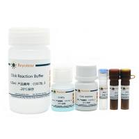 BeyoClick™ EdU-594细胞增殖检测试剂盒