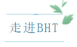 BHT：我想试试和他克林一起去治疗AD