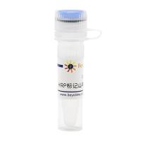 辣根过氧化物酶标记山羊抗兔IgG(H+L)